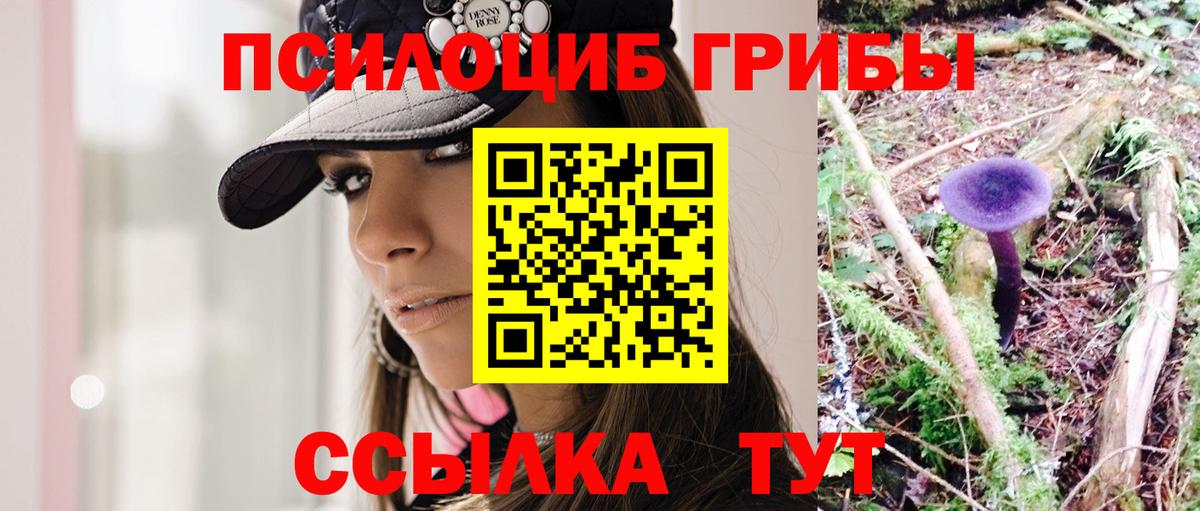 Псилоцибиновые грибы Psilocybe Ирбит