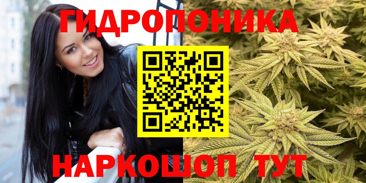 МАРИХУАНА сатива Ирбит